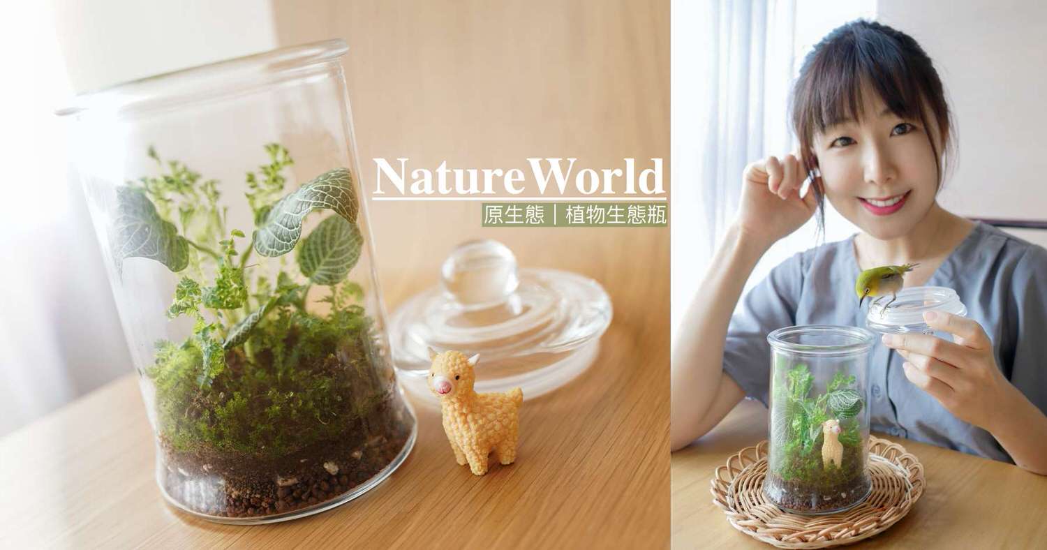 療癒系植栽 快來diy專屬於你的微景觀生態瓶 原生態natureworld