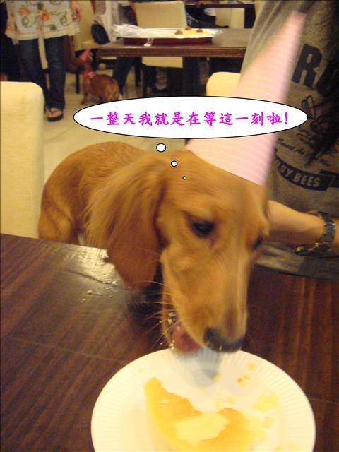 20251024-f5y48 20251024-f5y48