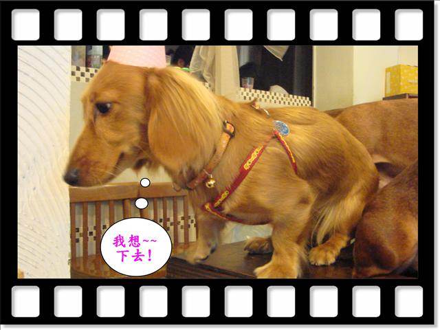 20251024-lxa81 20251024-lxa81