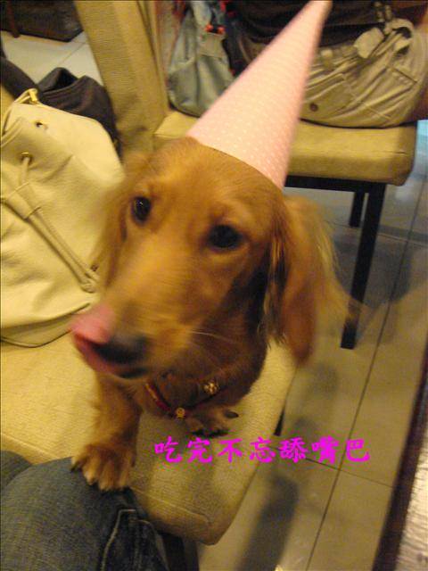 20251024-or3im 20251024-or3im