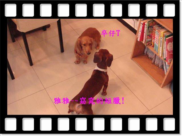 20251024-q6aic 20251024-q6aic