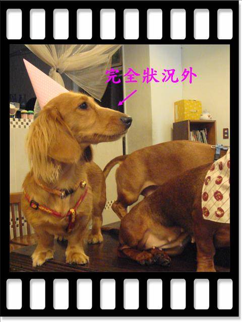 20251024-reh98 20251024-reh98