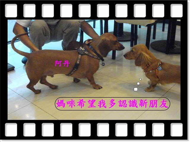 20251024-x9z1a 20251024-x9z1a