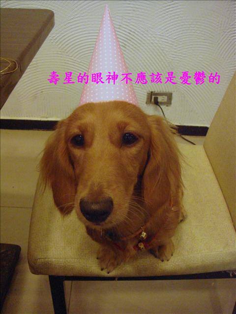 20251024-xn7zy 20251024-xn7zy