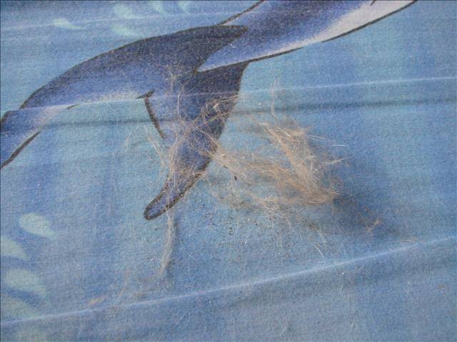 20251024-ay6yn 20251024-ay6yn