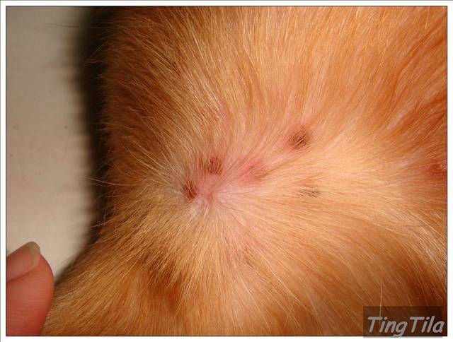 20251024-vhg2g 20251024-vhg2g