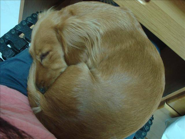 20251024-q89e1 20251024-q89e1