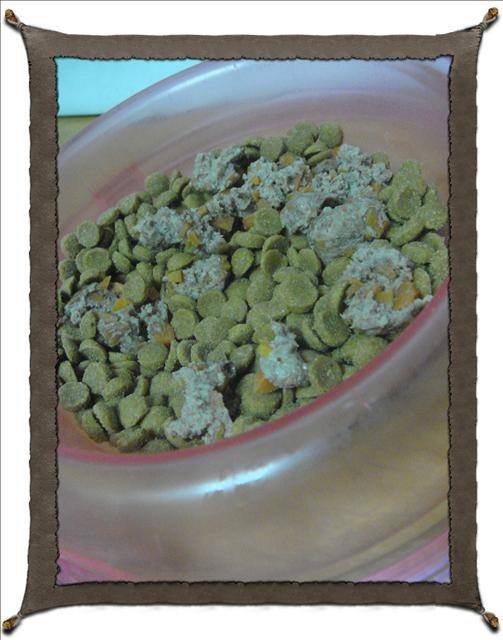 20251024-ifux2 20251024-ifux2