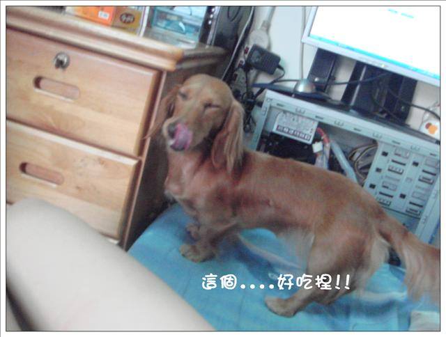 20251024-f7ayt 20251024-f7ayt