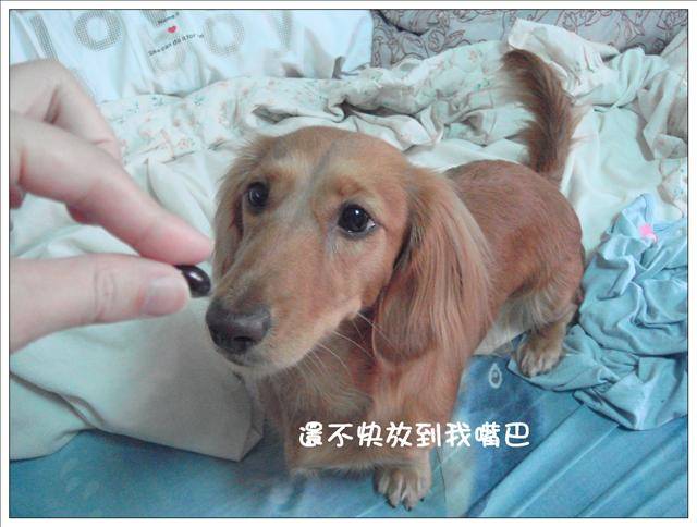 20251024-fiy37 20251024-fiy37