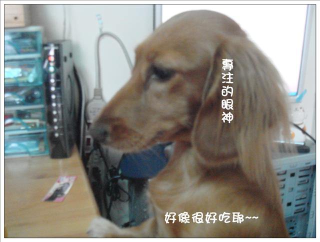 20251024-vfyvy 20251024-vfyvy