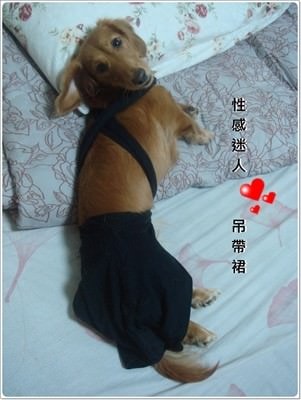 20251024-2z3rm 20251024-2z3rm