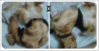 20251024-45kln 20251024-45kln