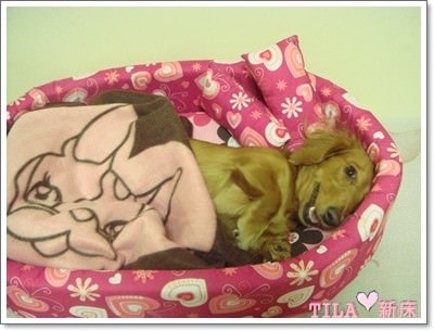 20251024-5emfk 20251024-5emfk