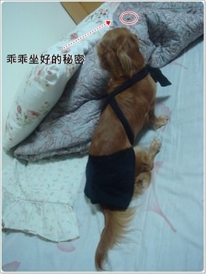 20251024-eboxw 20251024-eboxw