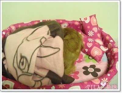 20251024-f4slv 20251024-f4slv