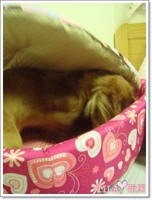 20251024-fltdx 20251024-fltdx