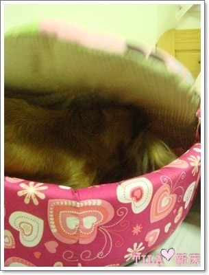 20251024-nwxq1 20251024-nwxq1