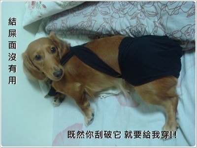 20251024-talv7 20251024-talv7