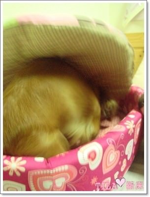 20251024-u1whc 20251024-u1whc