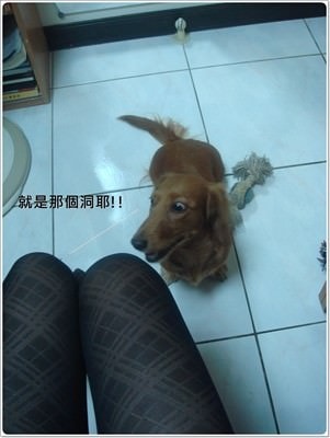 20251024-zbgiu 20251024-zbgiu