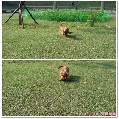 20251024-a2i4s 20251024-a2i4s