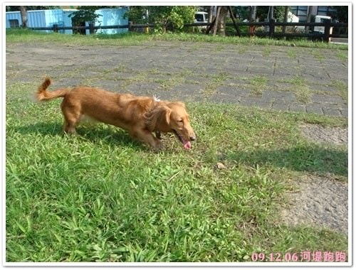 20251024-codc1 20251024-codc1