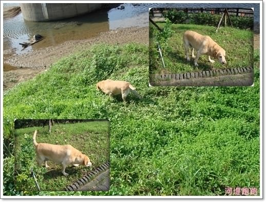 20251024-kimrq 20251024-kimrq