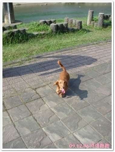 20251024-owp68 20251024-owp68