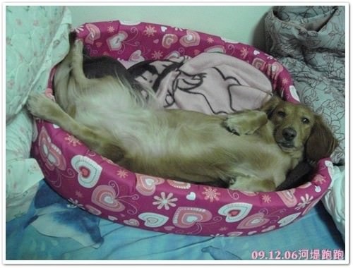 20251024-yl64e 20251024-yl64e