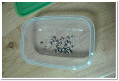 20251024-0nd1w 20251024-0nd1w