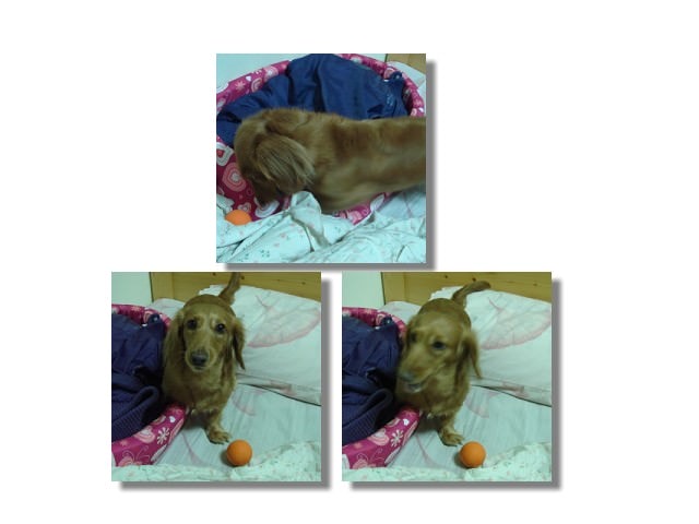 20251024-2vnkg 20251024-2vnkg