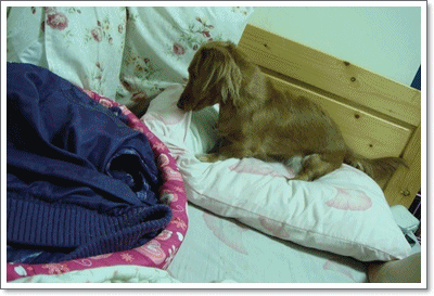 20251024-6dvux 20251024-6dvux