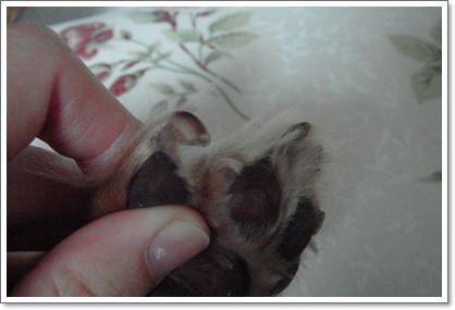 20251024-8pgiq 20251024-8pgiq