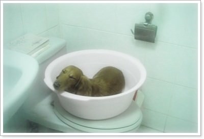 20251024-livpx 20251024-livpx