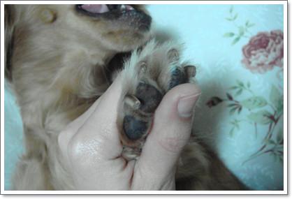 20251024-tw1hy 20251024-tw1hy