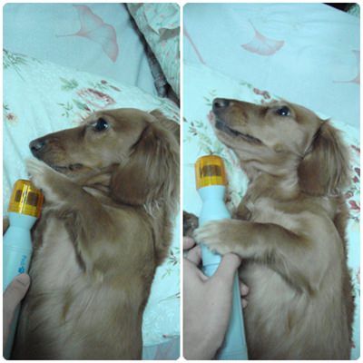 20251024-xqwd3 20251024-xqwd3