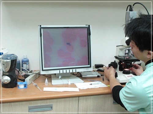 20251024-bki4v 20251024-bki4v