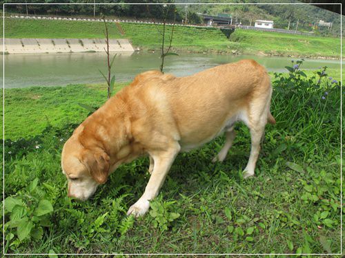 20251024-ifig8 20251024-ifig8