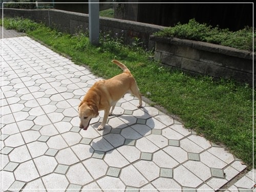 20251024-oipbu 20251024-oipbu