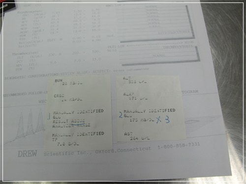 20251024-pgzaf 20251024-pgzaf