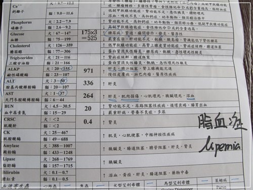 20251024-rdr6j 20251024-rdr6j