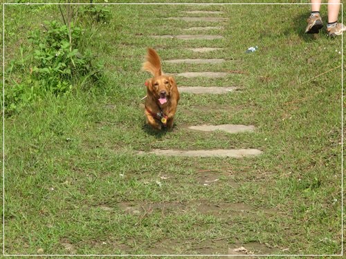 20251024-yb2hi 20251024-yb2hi