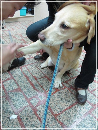 20251024-zoxz4 20251024-zoxz4