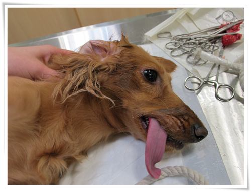 20251024-2kqdd 20251024-2kqdd