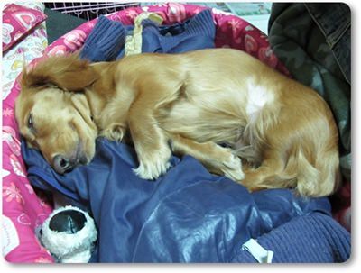 20251024-37bs0 20251024-37bs0