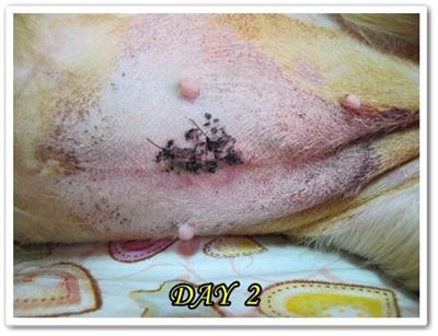 20251024-3l0x6 20251024-3l0x6