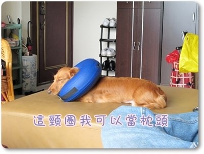 20251024-6l2nv 20251024-6l2nv