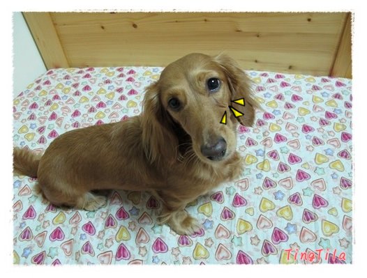 20251024-7g1m8 20251024-7g1m8