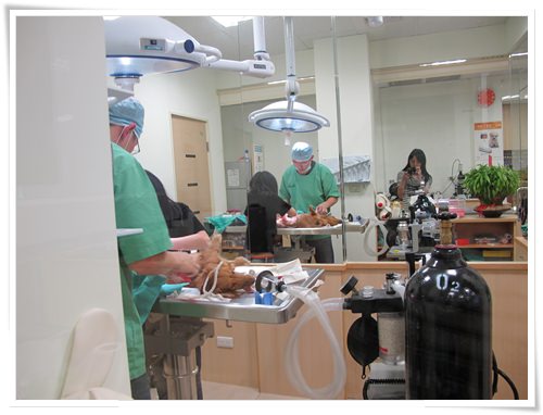 20251024-7mkwg 20251024-7mkwg